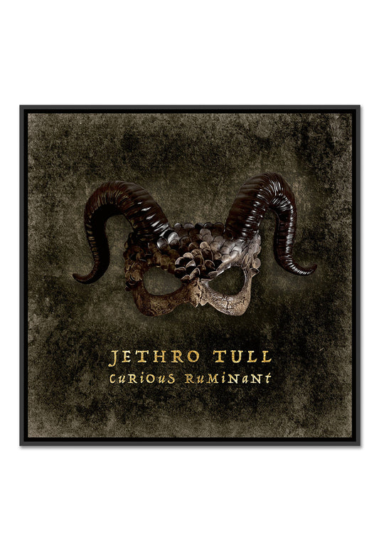 Jethro Tull - Curious Ruminant (Special Edition) - Digi CD | Neutral-Image
